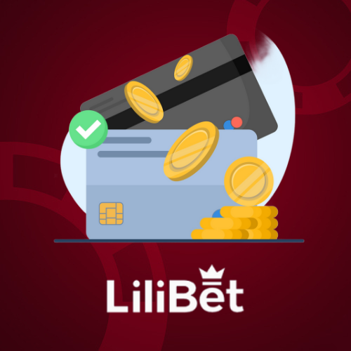 Lilibet casino payment methods